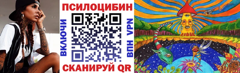 Псилоцибиновые грибы Cubensis  Тогучин 