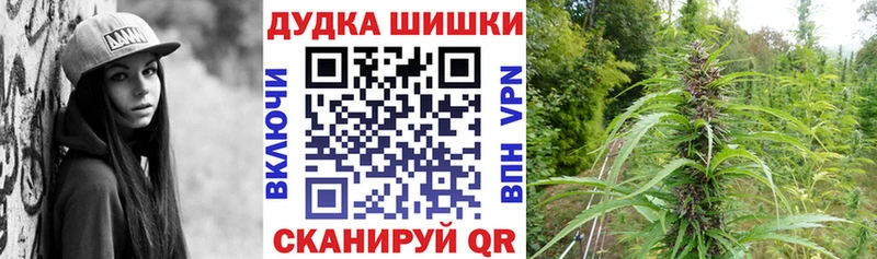 Марихуана планчик Тогучин
